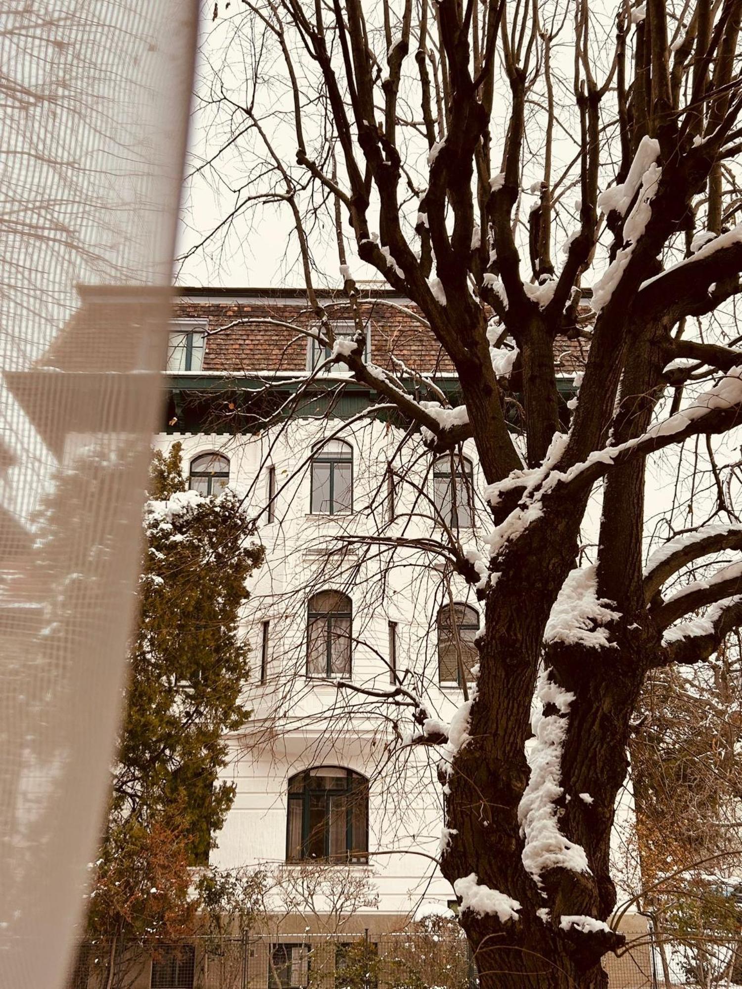 Apartment 5 Min Schoenbrunn Gloriette, Direct To City Center, Free Parking Vienna Exterior photo